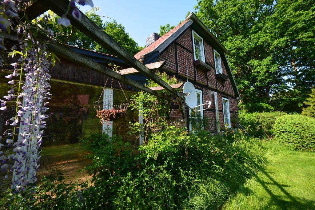 an old house with purple flowers in the yard at Haus im Grünen in Schneverdingen