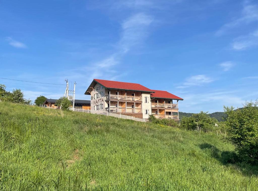 Příroda nedaleko aparthotelu