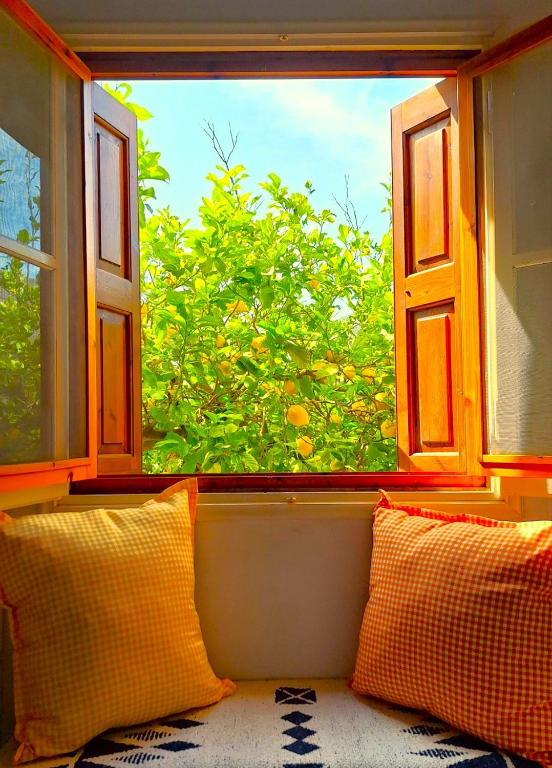 an open window with a view of an orange tree at Gaia Estate in Kalymnos
