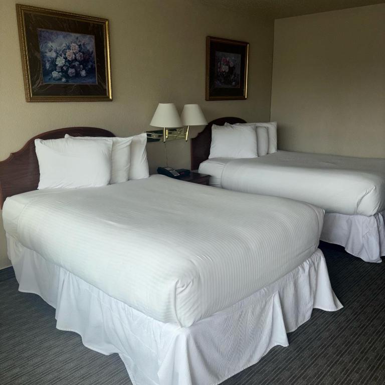 Unique Suites Hotel - Habitación Doble Estándar