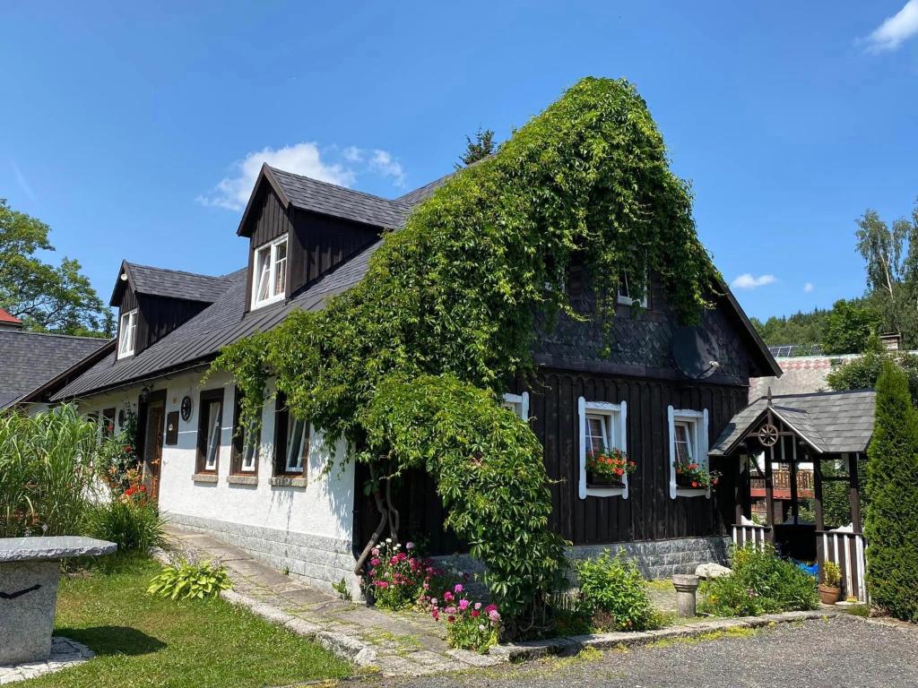 Czarno-biały dom z rosnącym bluszczem w obiekcie Apartmány u Dostálů w mieście Bedřichov