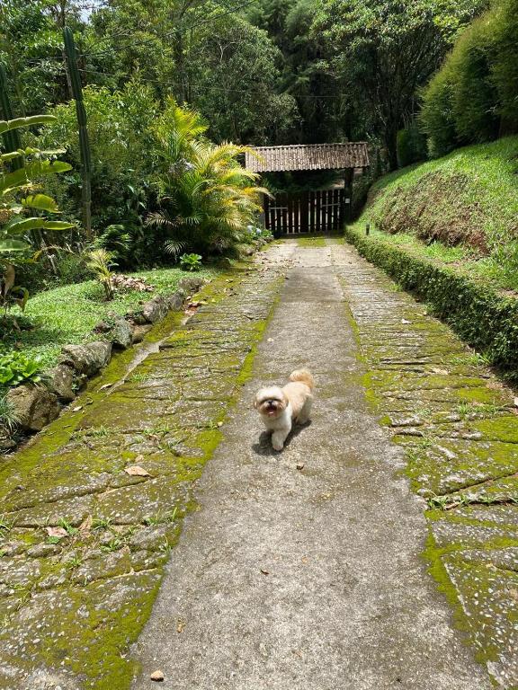 Um jardim em Refúgio Tranquilo na Natureza com Casa de Festas: Perfeito para Família e Amigos