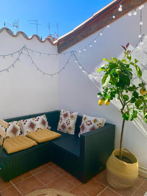 - un canapé bleu dans une pièce avec une plante en pot dans l'établissement Maison spacieuse et calme, Centre Ville, Idéal Famille, à Perpignan