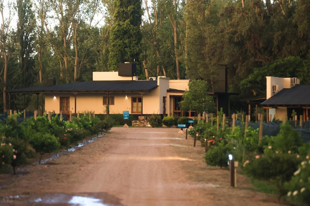 Un jardín fuera de Algodon Wine Estates & Champions Club