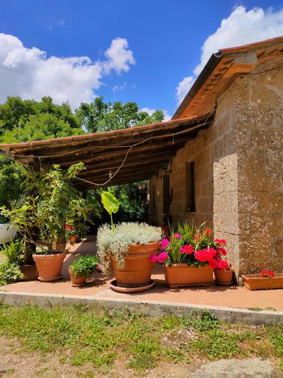 Zahrada ubytování Bio Agriturismo Il Cavone