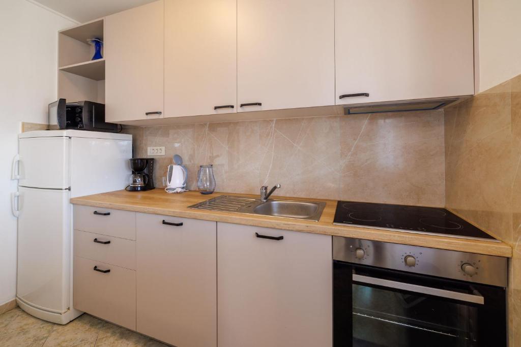 Kuchyň nebo kuchyňský kout v ubytování Apartments Danica