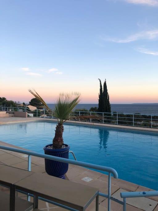 - une grande piscine entourée d'un palmier dans l'établissement Appartement vue mer et Esterel avec piscine, à Saint-Raphaël