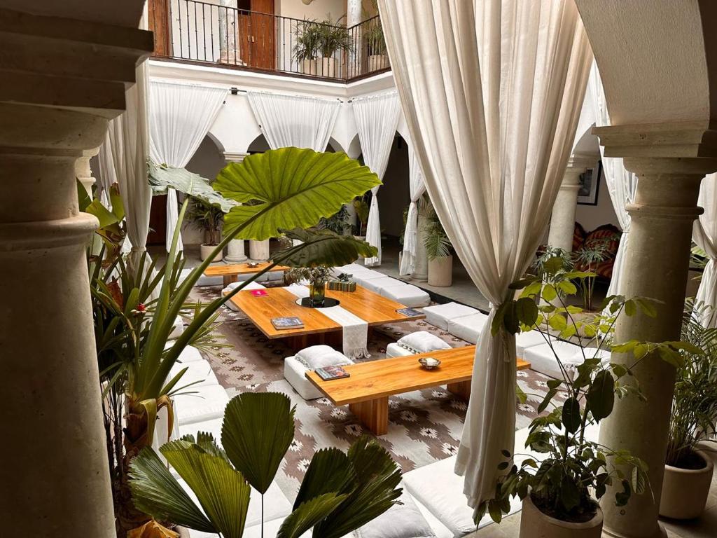 ein Wohnzimmer mit einem Tisch und einigen Pflanzen in der Unterkunft Hotel Sin Nombre in Oaxaca de Juárez