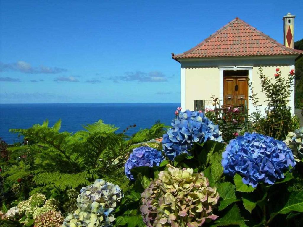 a house with blue flowers in front of the ocean at Quinta das Hortênsias in Arco de São Jorge