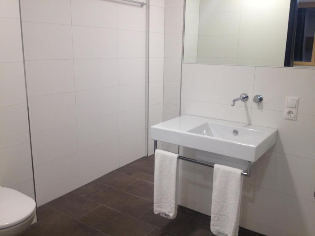 Business Motel Feldkirch - 19