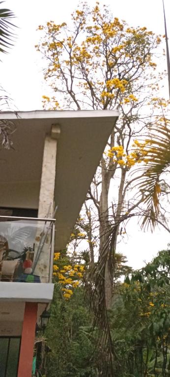 FINCA HOTEL Los AZAHARES - 一居室小木屋