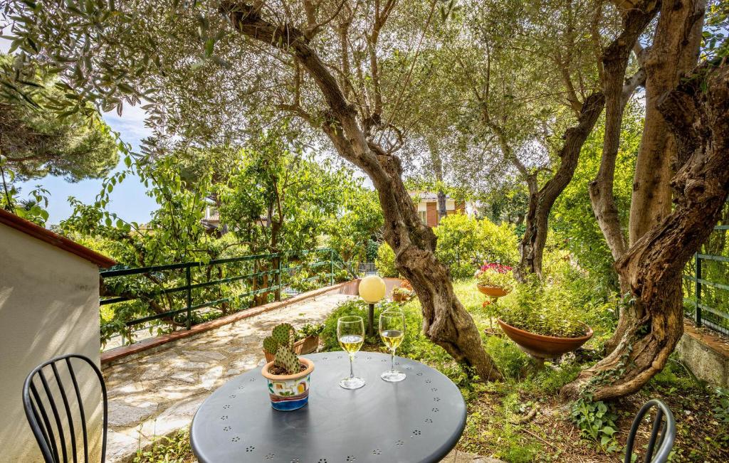 una mesa con dos copas de vino y un árbol en Gorgeous Apartment In Castiglioncello, en Castiglioncello