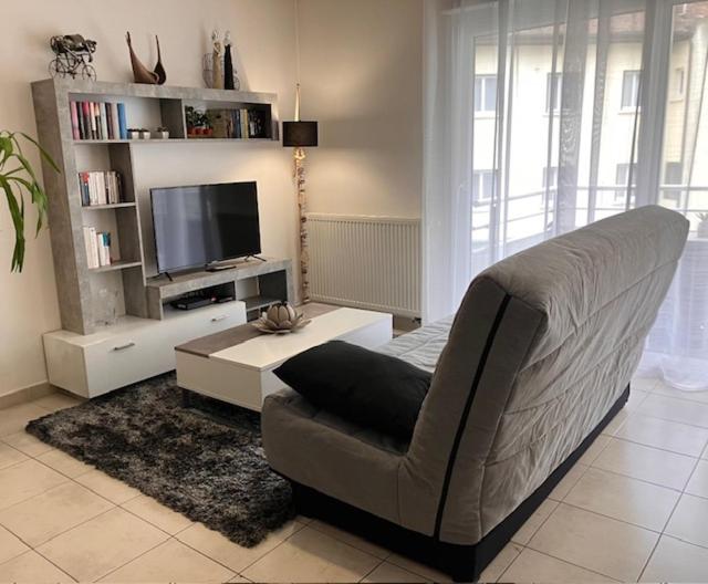 uma sala de estar com um sofá e uma televisão em Cocon sur cour em Thonon-les-Bains
