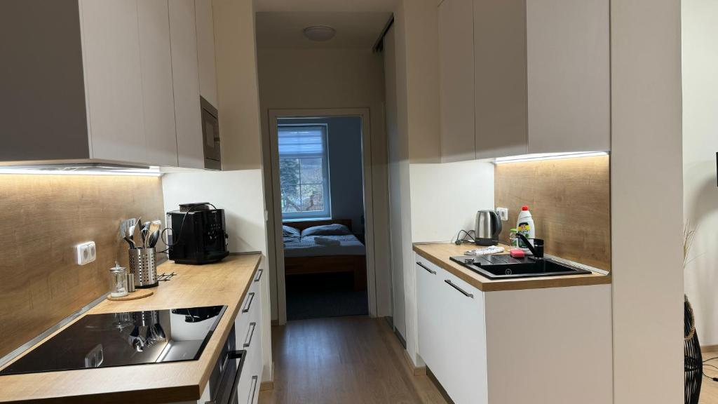 Köök või kööginurk majutusasutuses Apartmán na sjezdovce