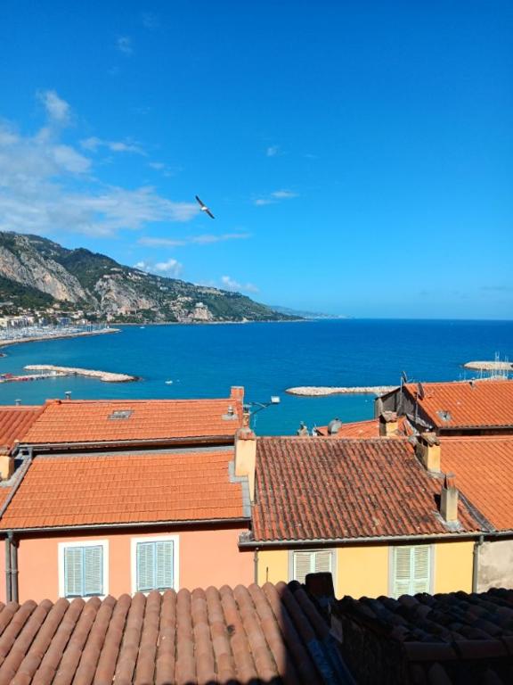 Príroda v okolí apartmánu