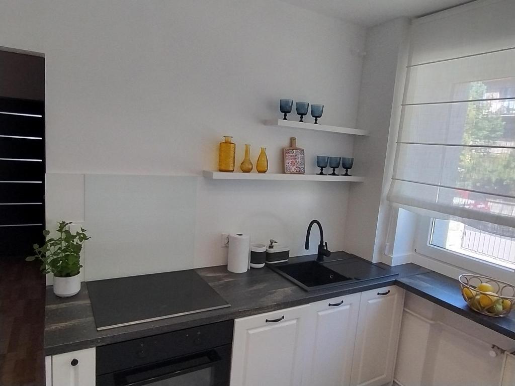 Kuchyň nebo kuchyňský kout v ubytování Villa Słoneczne Wzgórze