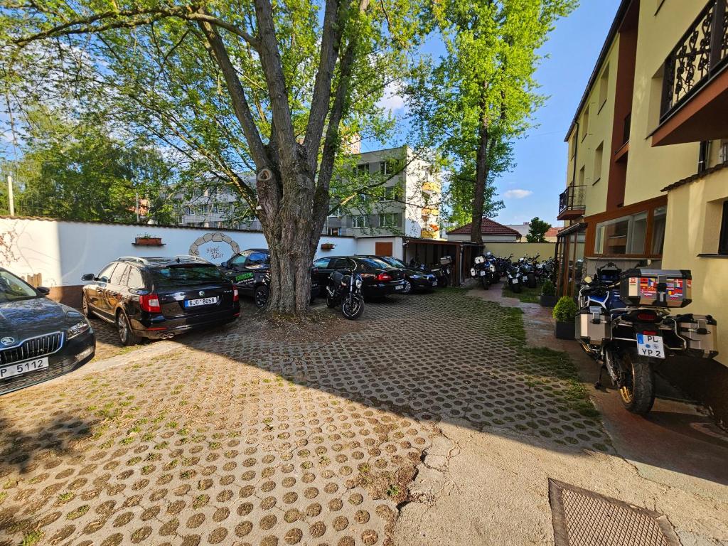 Hotel Adler - Resim 20