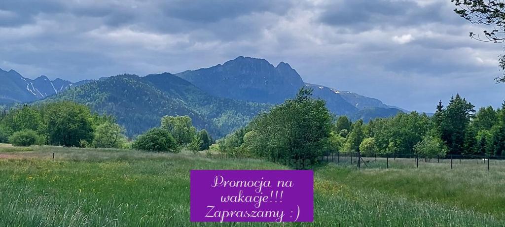una señal púrpura en un campo con montañas en el fondo en Pokoje u Doroty - w bliskości z naturą en Zakopane