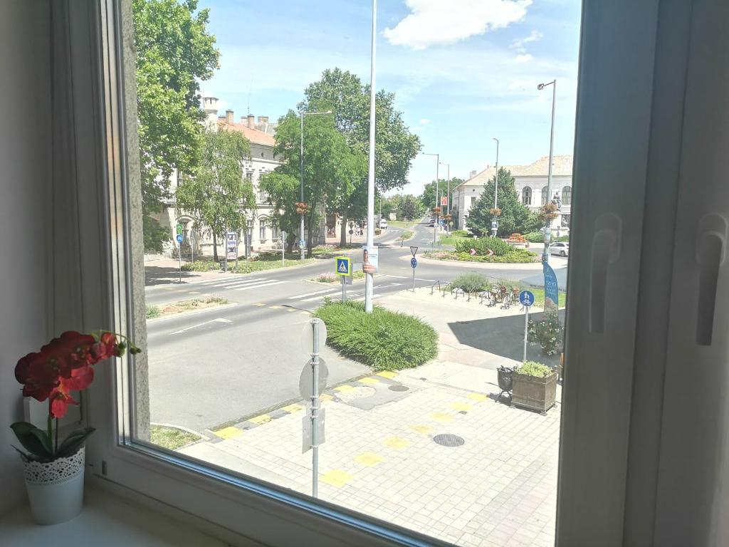 Okolí apartmánu