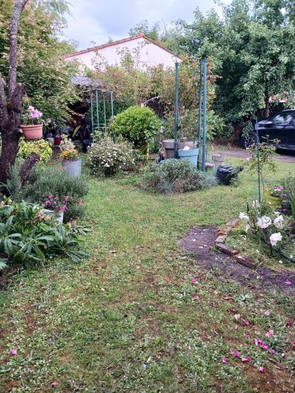 un jardin avec de nombreuses plantes et fleurs différentes dans l'établissement Charmante Tiny House, à Lacanau