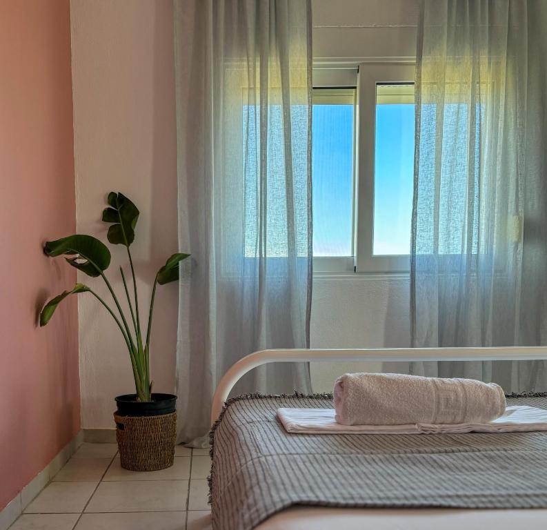 una camera con un letto con finestra e una pianta di LefCoast AURA Apartments a Tragasiá