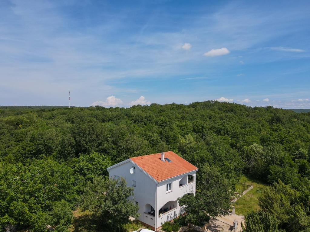 una vista aérea de una casa blanca con techo rojo en Apartments & Room Danijel, en Pinezici