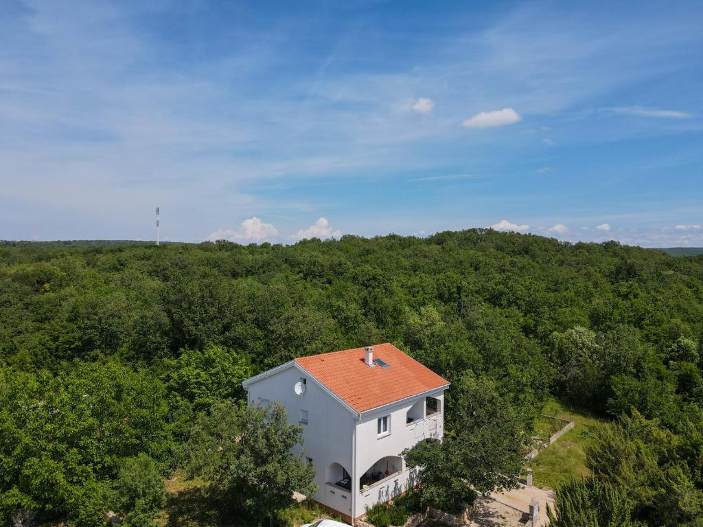 Apartments & Room Danijel