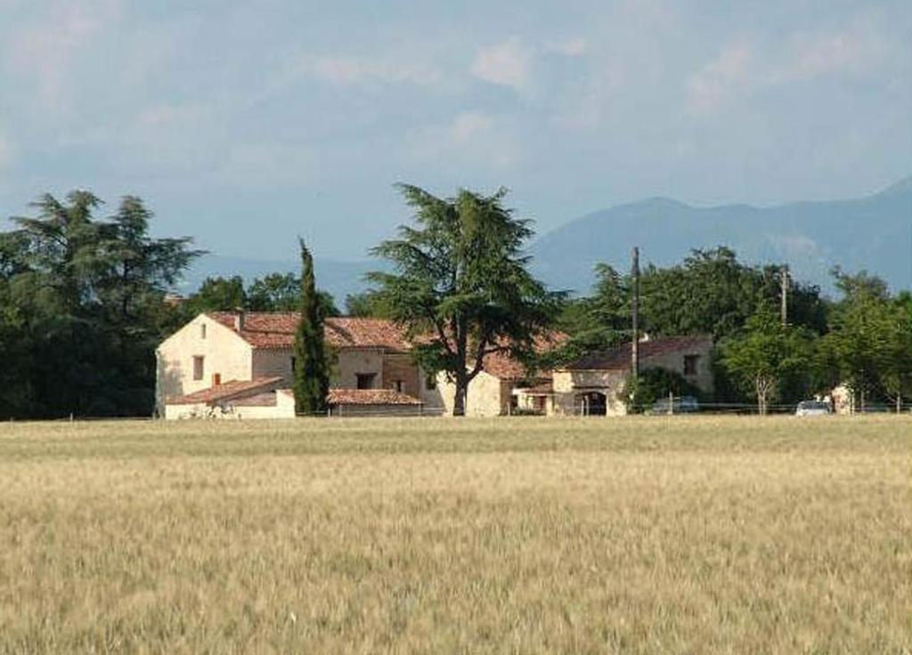 a house in the middle of a field of grass at Le Mas De La Chérine in Quinson