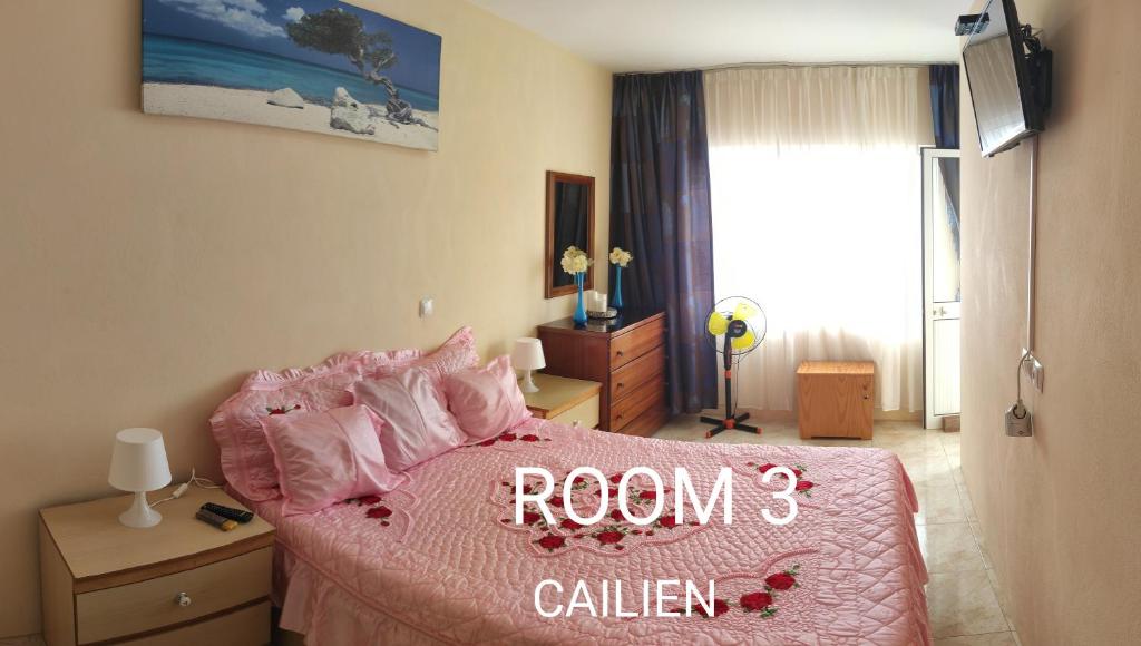 TV a/nebo společenská místnost v ubytování guesthouse emaly