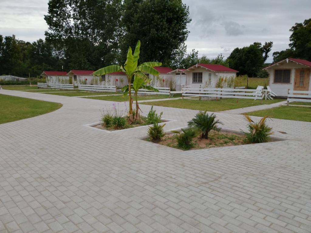Zahrada ubytování CirceMed