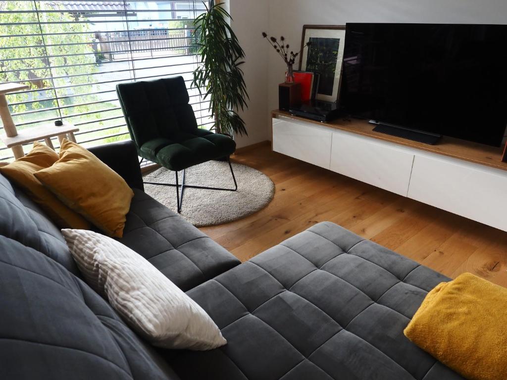TV a/nebo společenská místnost v ubytování Hiša Eva