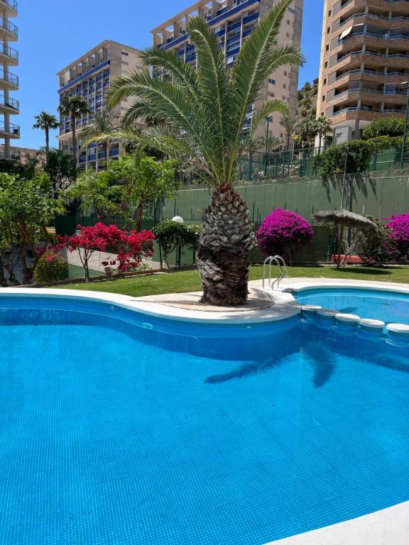 Apartamento Mar y Sol Benidorm tesisinde veya buraya yakın yüzme havuzu