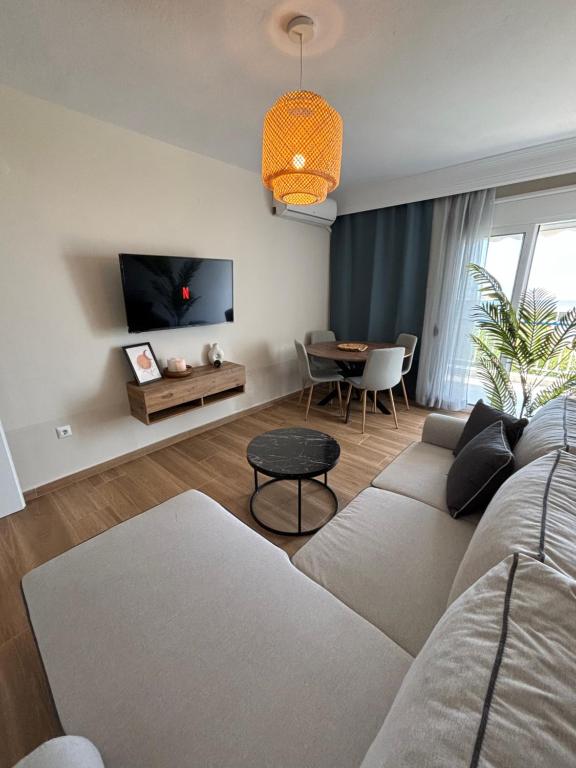 TV a/nebo společenská místnost v ubytování Serenity Apartment