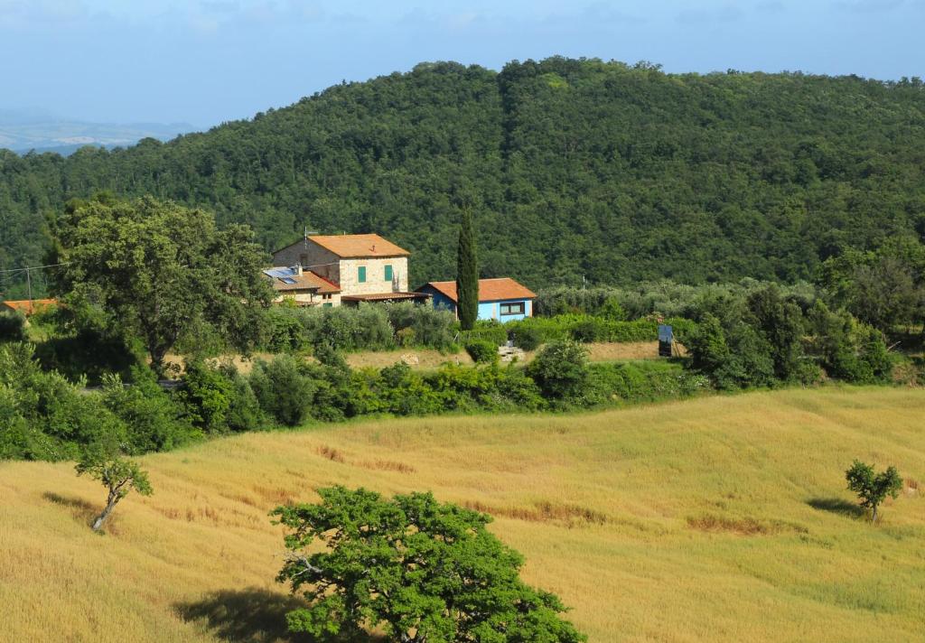 una casa en la cima de una colina con un campo en Casa Maria en Magliano in Toscana