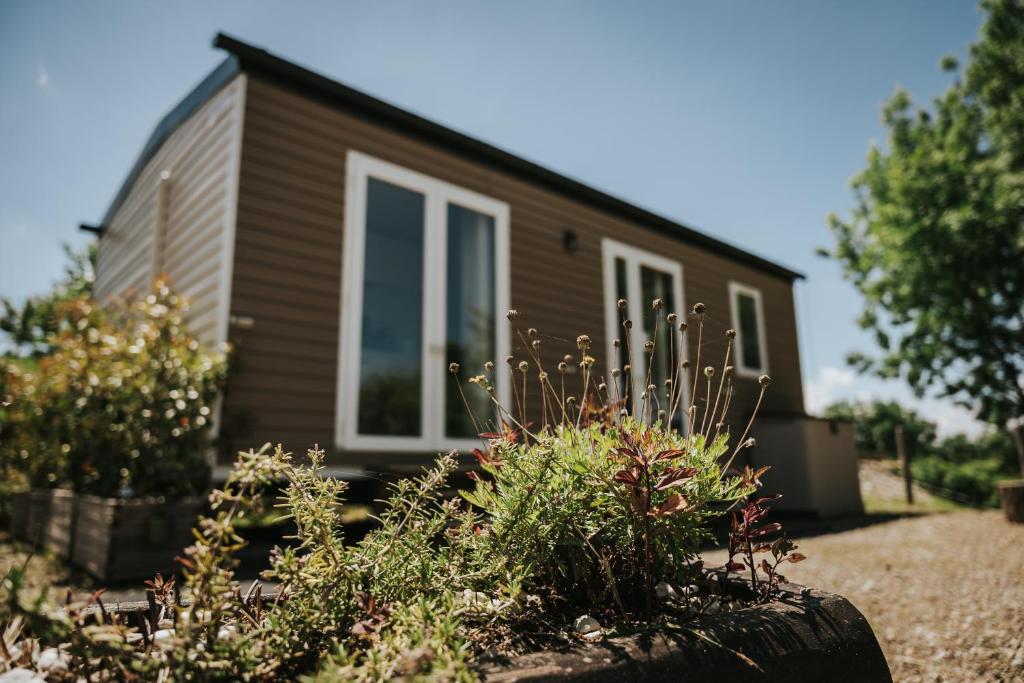 una casa con un jardín delante de ella en Agricampeggio Cà di Mazza, en Monzuno