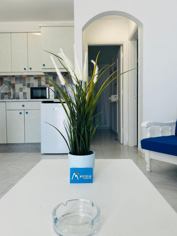 A kitchen or kitchenette at -MONTORIAN Apartments -LANZAROTE