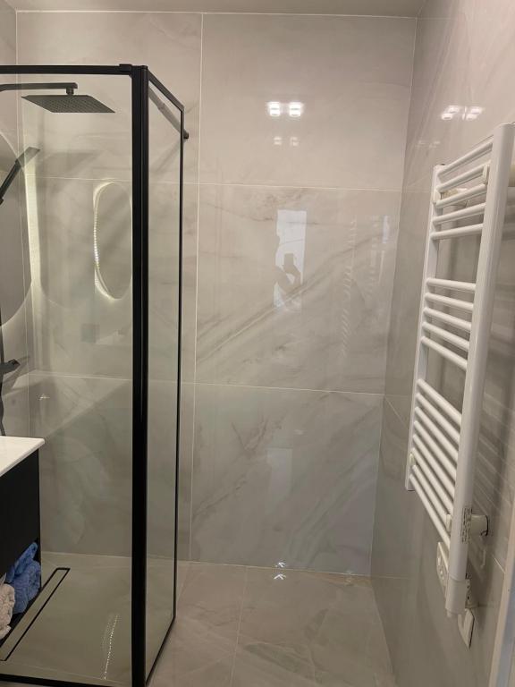 La salle de bains est pourvue d'une douche avec une porte en verre. dans l'établissement A Sainte marguerite, à Nice