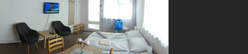 Penzion U Hradeb - 5