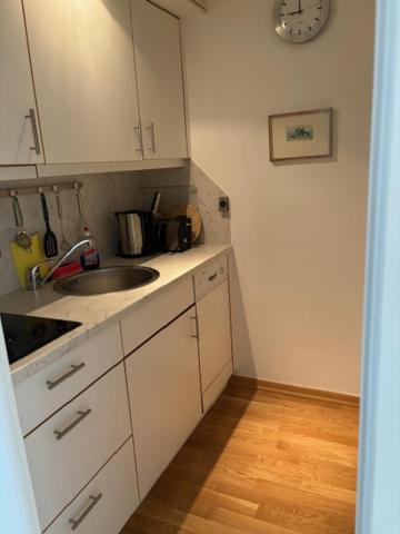 Kuchyň nebo kuchyňský kout v ubytování Apartment Himmlischer Ausblick