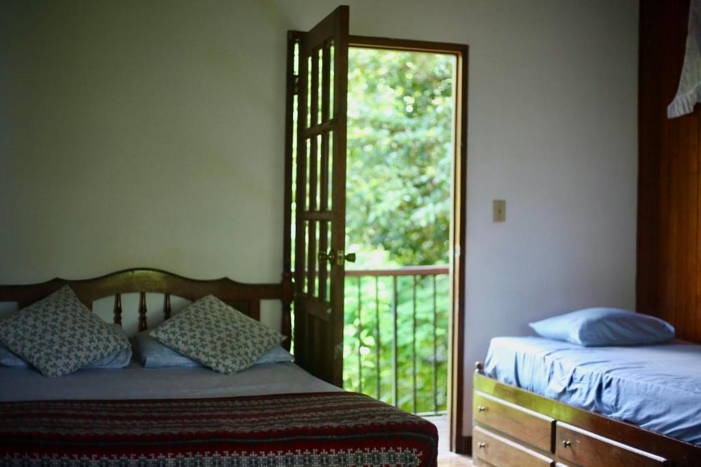 Легло или легла в стая в Inti Wasi