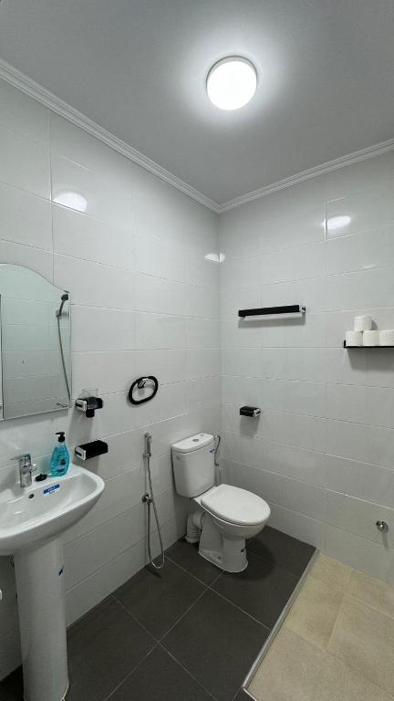Koupelna v ubytování Appartement 4 en bord de la mer à Azla