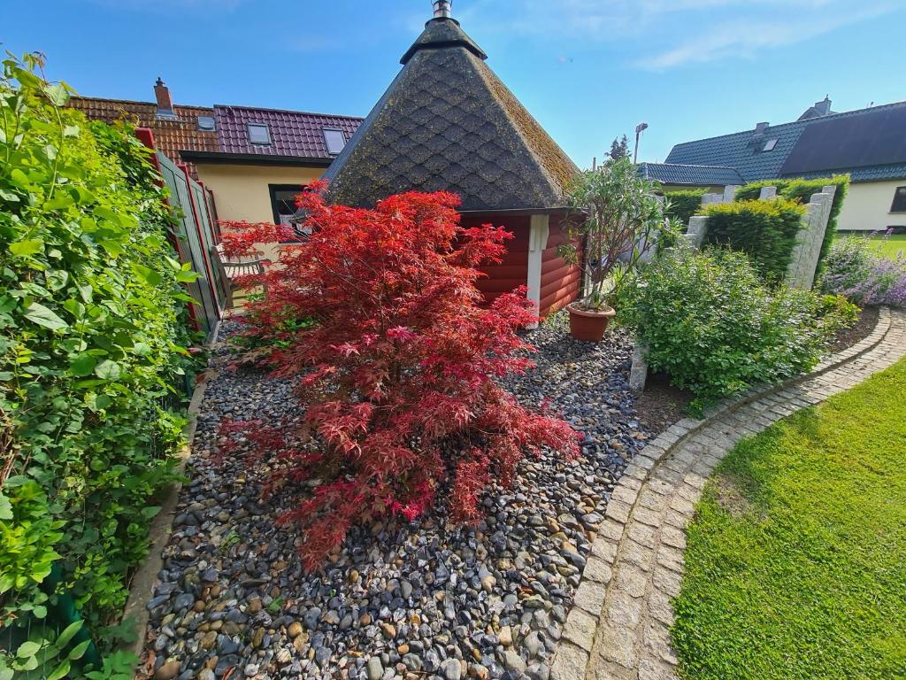 Fotografie z fotogalerie ubytování Ferienhaus Saupe v destinaci Schaprode