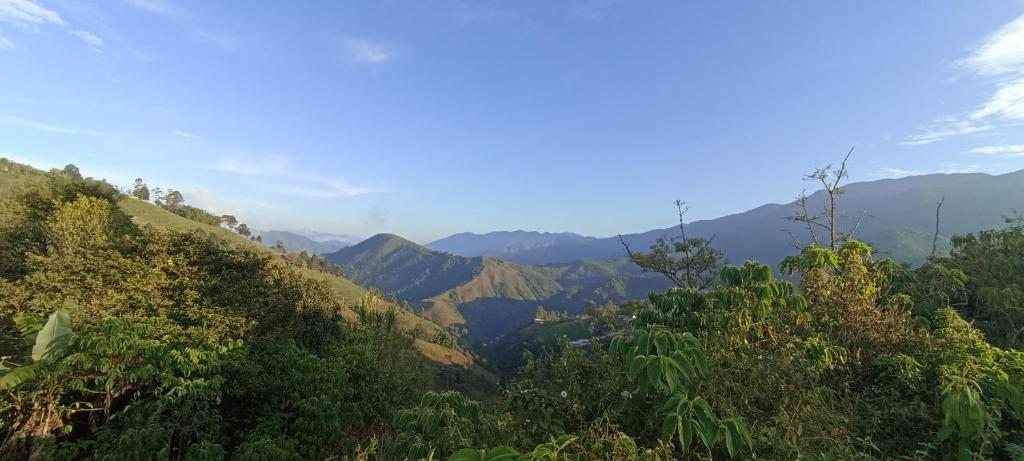 FINCA HOTEL Los AZAHARES - 木屋