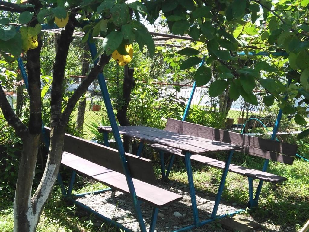 Zahrada ubytování Guest house Gio