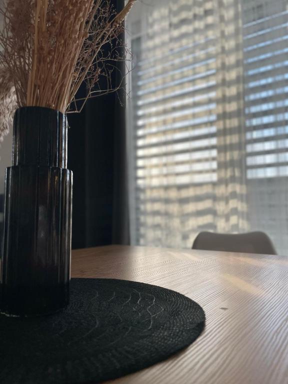 Fotografie z fotogalerie ubytování Klimatizovaný Apartmánový dom, s vírivkou, 1B v Senci