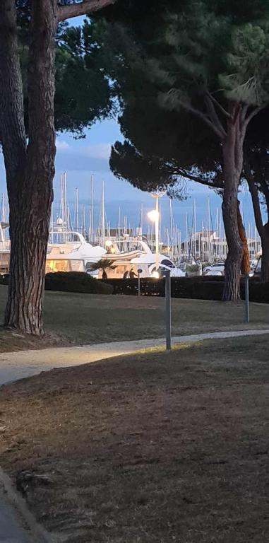 un parc avec deux arbres et une marina avec des bateaux dans l'établissement Studio cabine, au Grau-du-Roi