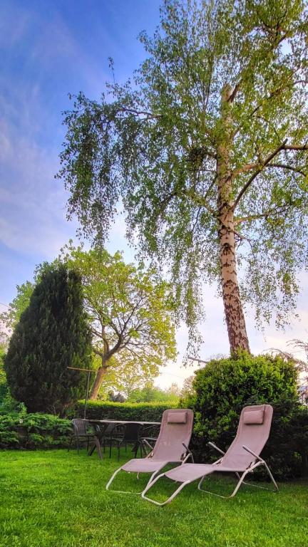 two chairs and a table and a tree at Dom na Błękitnej in Karwieńskie Błoto Pierwsze