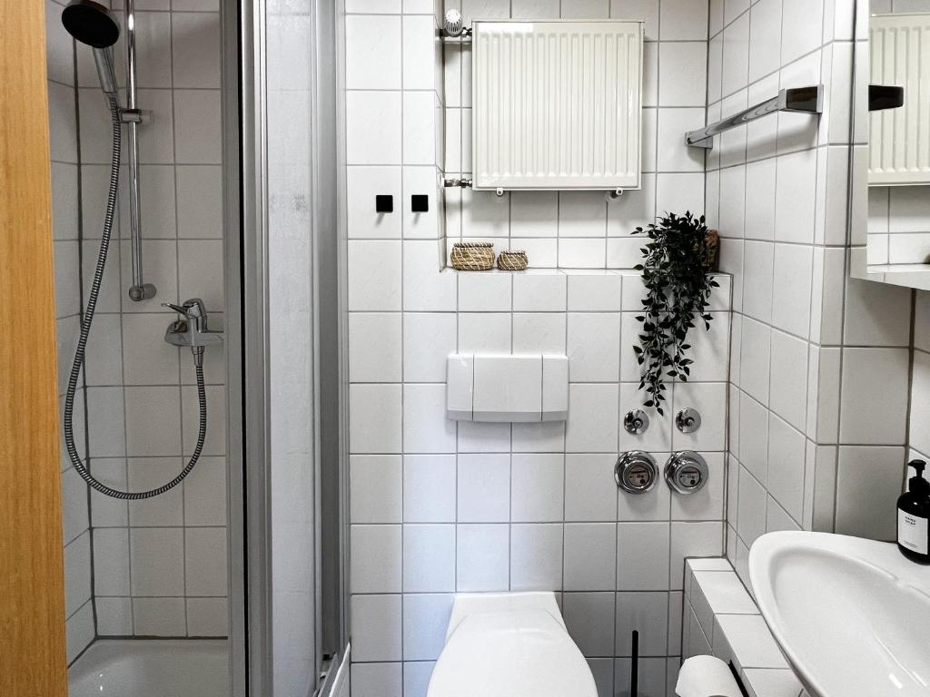 Schwarzwald Apartments im Haus Tanneck - Feldberg - Titisee - 4