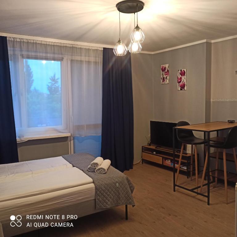 una camera con letto, tavolo e TV di Nad Drwęcą a Brodnica