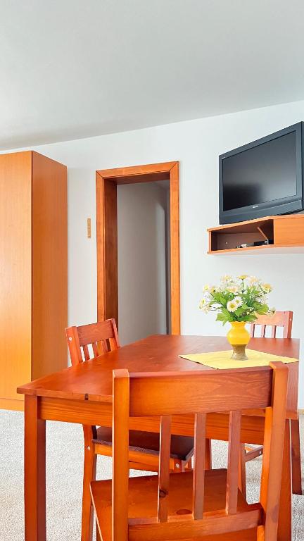 TV a/nebo společenská místnost v ubytování Apartmán Kurcin